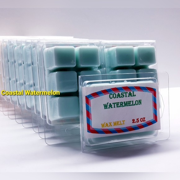 COASTAL WATERMELON -Bath & Body Works Candle Wax Melts- $8 per pack - Picture 1 of 8